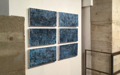 Summer Night Shadows